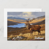 スコットランド旅行の鹿 ポストカード (正面/裏面)