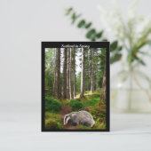 スコットランド春 ポストカード (スタンド正面)