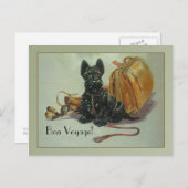 スコットランド本航海はがき ポストカード (正面/裏面)