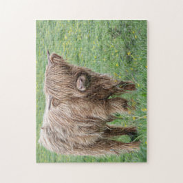 スコットランド牛写真 ジグソーパズル