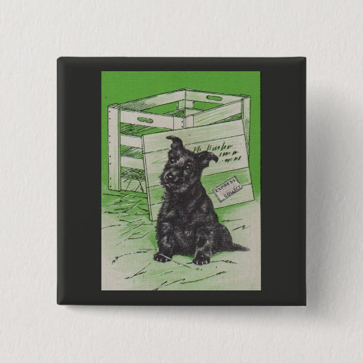 スコットランド犬の特別引き渡し 缶バッジ (正面)