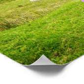 スコットランド高地のアザミの風景のポスター ポスター (角)