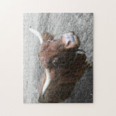 スコットランド高地の牛の農家かわいい動物 ジグソーパズル (縦)