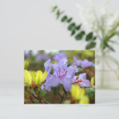 スコットランド高地の花 ポストカード (スタンド正面)