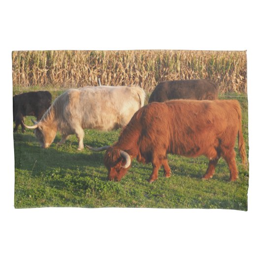 スコットランド高地牛が草食 枕カバー (正面)