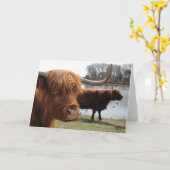 スコットランド高地牛のカード カード (黄色い花)