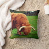 スコットランド高地牛 クッション (ブランケット)