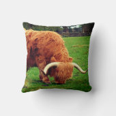 スコットランド高地牛 クッション (裏面)