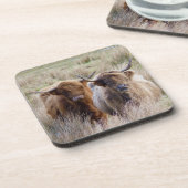 スコットランド高地牛 コースター (左側)