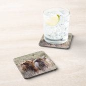 スコットランド高地牛 コースター (右側)