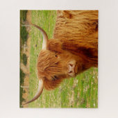 スコットランド高地牛 ジグソーパズル (縦)