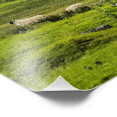 スコットランド高地 フォトプリント            (角)