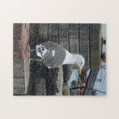 スコットランド、イスレー島、黒い背中のカモメ ジグソーパズル (横)