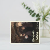 スコットランド・エジンバラの地下倉庫 ポストカード (スタンド正面)