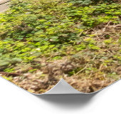 スコットランド，エジンバラ，ディーン・ヴィレッジ ポスター (角)