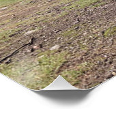 スコットランド，クラバ・ケアンズ – インバネス ポスター (コーナー)