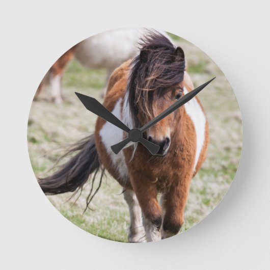スコットランド、シェットランド諸島、シェットランドポニー ラウンド壁時計 (正面)