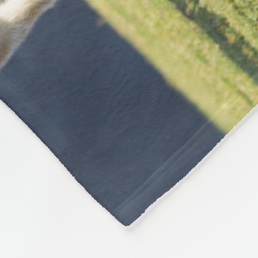 スコットランド、シェットランド諸島、フォールとのマーレ フリースブランケット (角)