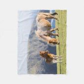 スコットランド、シェットランド諸島、フォールとのマーレ フリースブランケット (正面)