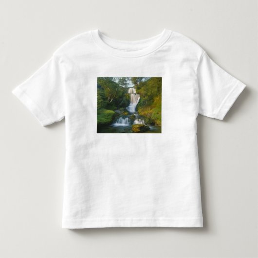 スコットランド スカイ島の滝 トドラーTシャツ (正面)