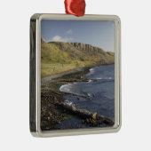 スコットランド·スカイ島·ダンタルムの海岸統一された線 メタルオーナメント (右)