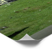 スコットランド、スカイ島、荒廃した教会 ポスター (角)