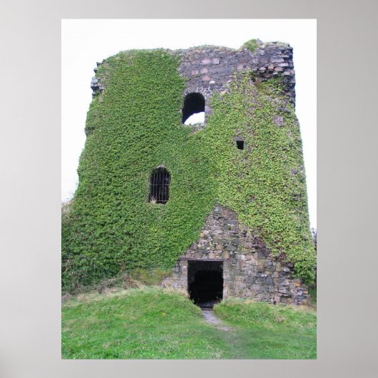 スコットランド、ダノリー城大番ベイ ポスター (正面)