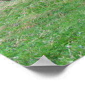 スコットランド、ダノリー城大番ベイ ポスター (角)