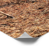 スコットランド，ハイランズ，グレンエティブのアカシカ ポスター (角)