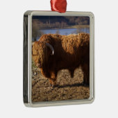 スコットランド、ハイランドキャトルブル メタルオーナメント (右)