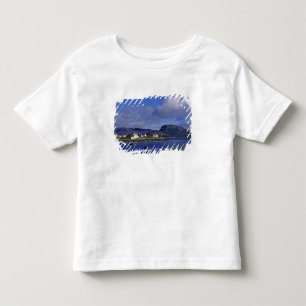 スコットランド、ハイランド、ウェスタンロス、プロクトン トドラーTシャツ