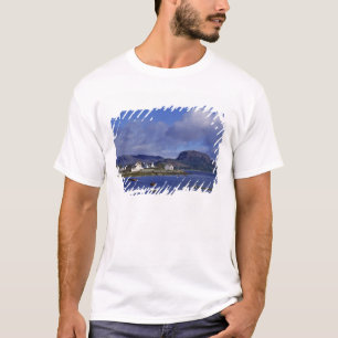 スコットランド、ハイランド、ウェスター・ロス、プロクトン Tシャツ