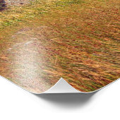 スコットランド・フィナガガン フォトプリント (角)