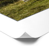 スコットランド，ブラックロックコテージ ポスター (角)