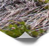 スコットランド，ロギー秋 ポスター (角)