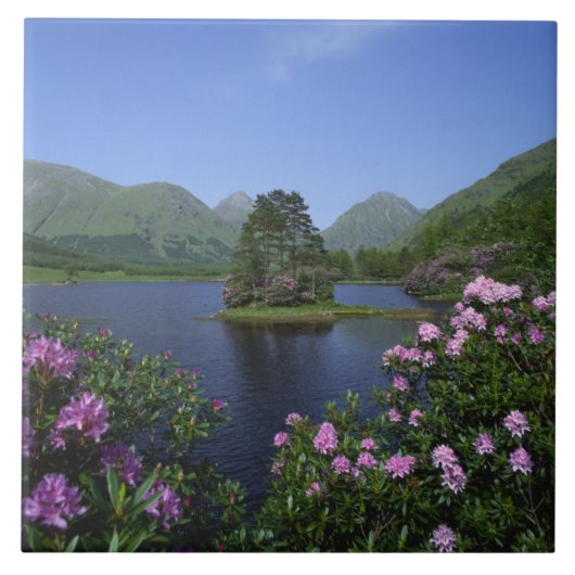 スコットランド，高地，グレン·エティブ タイル (正面)