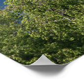 スコットランド – Eilian Donan Castle Poster ポスター (角)