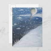 スコット南極大尉の最初の航空隊長。4番目 ポストカード (正面/裏面)