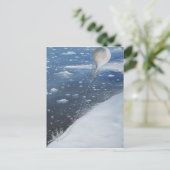 スコット南極大尉の最初の航空隊長。4番目 ポストカード (スタンド正面)