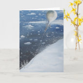 スコット南極大陸大尉の最初飛行船操縦士。 第4 カード (黄色い花)