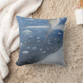 スコット南極大陸大尉の最初飛行船操縦士。 第4 クッション (ブランケット)