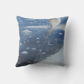 スコット南極大陸大尉の最初飛行船操縦士。 第4 クッション (裏面)