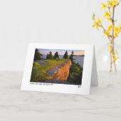 スコット島のレッジ写真カード カード (黄色い花)