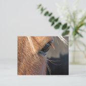 スコット極値 ポストカード (スタンド正面)