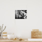 スコット・カーペンター宇宙飛行士がオーロラ7を検査 ポスター (キッチン)