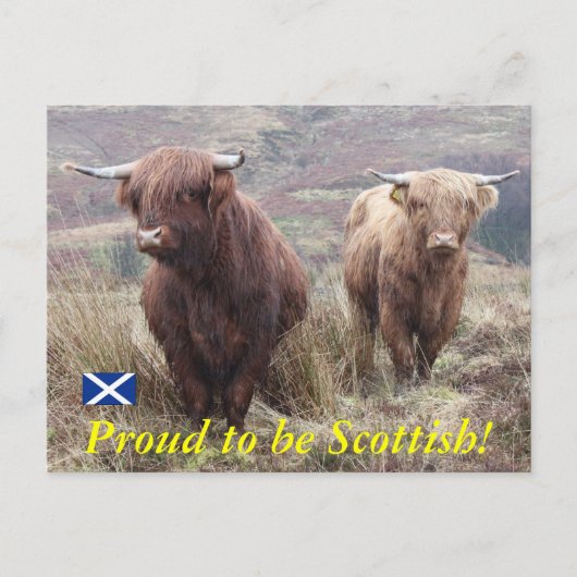 スコッ誇りを持ったトランドに！ ポストカード (正面)