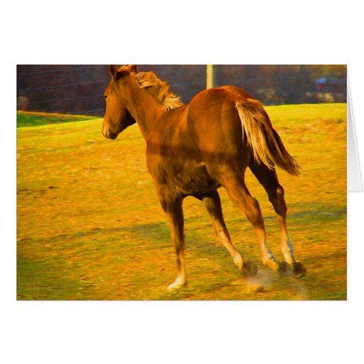 スコッ走チ～油絵 (正面横)