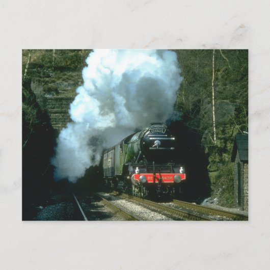 スコッ飛んでいるトマンはバロンWのトンネルの間に捕まった ポストカード (正面)