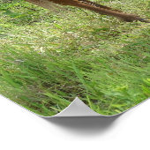 スコッ食べチ ポスター (角)