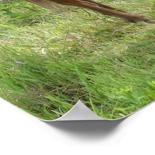 スコッ食べチ ポスター (角)